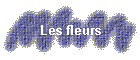 Les fleurs