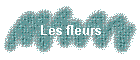 Les fleurs